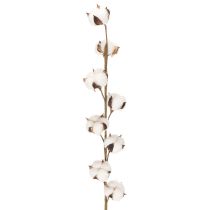 Artikel Künstlicher Baumwollzweig mit 8 echten Blüten, 78 cm, Braun-Weiss