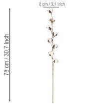 Artikel Künstlicher Baumwollzweig mit 8 echten Blüten, 78 cm, Braun-Weiss