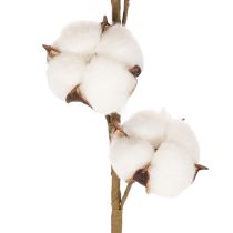 Artikel Künstlicher Baumwollzweig mit 8 echten Blüten, 78 cm, Braun-Weiss