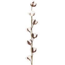 Artikel Künstlicher Baumwollzweig mit 8 echten Blüten, 78 cm, Braun-Weiss