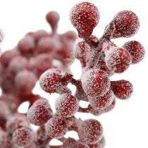 Artikel Beerenpick Rot, geeist 21cm 12 St