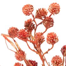 Artikel Künstlicher Beerenzweig aus Kunststoff 68 cm in Rot und Rosa für herbstliche Dekoration