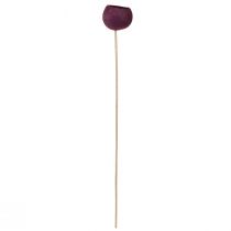Artikel Bell Cup am Stiel aus Holz Weinrot 15 Stück ca. 38–45 cm