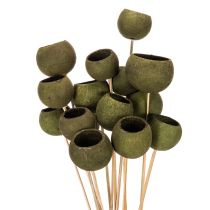 Artikel Bell Cup am Stiel Holz Grün ca. 5–7 cm 15 Stück
