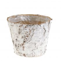 Artikel Birkenrinde Pflanztopf weiss Ø15cm H12,5cm 3 Stück