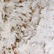 Artikel Deko-Pflanztöpfe aus Birkenrinde weiss Ø18cm H15cm 2er-Set