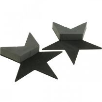 Artikel OASIS Black Bioline Steckschaum Stern Schwarz 30 cm 2 Stück