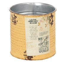Artikel Blechdose Deko Dose Apricot Metall Pflanztopf Ø11cm H10,5cm