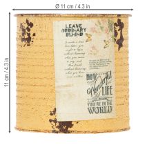 Artikel Pflanztopf Metall Apricot Ø11cm H10,5cm Vintage-Dose für Innen- und Aussenbereich