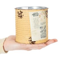 Artikel Pflanztopf Metall Apricot Ø11cm H10,5cm Vintage-Dose für Innen- und Aussenbereich