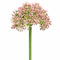 Artikel Allium künstlich Rosa 55cm