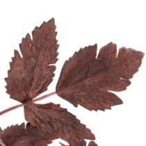 Artikel Künstliche Astilbe Rotbraun 80cm Langstielig für Dekoration