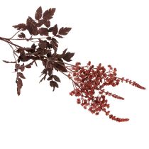 Artikel Künstliche Astilbe Rotbraun 80cm Langstielig für Dekoration