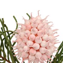 Blütenzweig Foam Pink/Grün 65cm