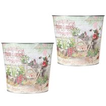 Artikel Blumenkübel Klein Metall Farbig Fresh Garden H16cm 2St