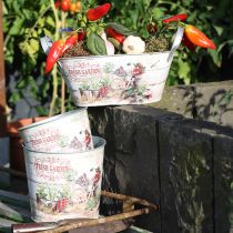 Artikel Blumenkübel Klein Metall Farbig Fresh Garden H16cm 2St