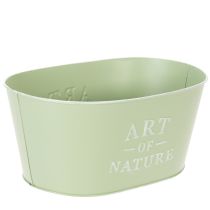 Artikel Blumenschale Oval Metall Mintgrün 27 x 18 x 12,5 cm für Pflanzen und Dekoration