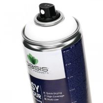 OASIS® Easy Colour Spray, Lack-Spray Weiß, Winterdeko 400ml