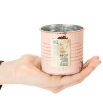 Artikel Blumentopf Deko Dose Lachs Metall Kräuterdose Ø8cm H7,5cm