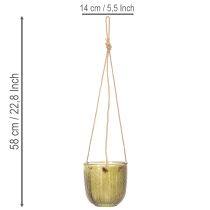 Artikel Hängender Glas-Blumentopf oder Windlicht, 14 cm, Lila und Grün, 2 Stück