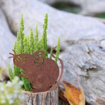 Artikel Blumentopf aus Holz und Rinde, Edelrost-Maus, ca. 24cm hoch, Natur und Rostbraun