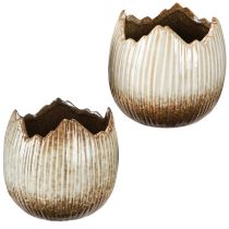 Artikel Blumentopf Keramik Ei Zerbrochen Creme Braun Ø11,5cm 2 St