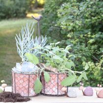 Artikel Blumentopf Keramik Gitterkorb Metall Braun Ø30cm H11,5cm