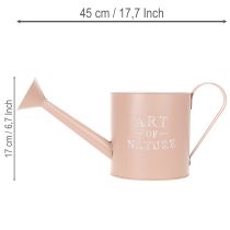 Artikel Blumentopf Zink Gieskannenform Ø16,5cm H17cm Altrosa für Innen und Aussen