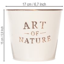 Artikel Blumentopf Metall Creme „Art of Nature“ Ø17,5 cm H15 cm