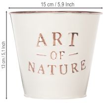 Artikel Blumentopf aus Zink Creme Ø15cm H13,5cm mit Schriftzug für Innen- und Aussendekoration