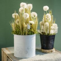 Artikel Übertopf Pusteblumen Blumentopf Weiß Ø12,5cm H14cm