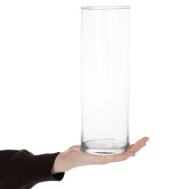 Artikel Glaszylinder Vase 30cm hoch aus klarem Glas für Dekoration und Blumen
