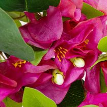 Artikel Künstlicher Bougainvillea-Zweig 100 cm Pink Grün für saisonale Dekoration