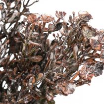 Kunstpflanzen Braun Herbstdeko Winterdeko Drylook 38cm 3St