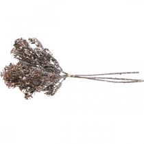 Artikel Kunstpflanzen Braun Herbstdeko Winterdeko Drylook 38cm 3 St