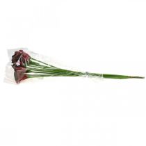 Artikel Calla Rot-Bordeaux Kunstblumen im Bund 57cm 12 Stück