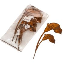 Artikel Gartenstecker Calla Blüte aus Metall Rostoptik 25 cm 6er-Set