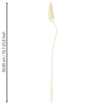 Artikel Cane Cone Holzspiralen gebleicht 50-60cm 25 Stück für Dekorationen