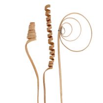 Artikel Cane Sortiment Mini Natur, 75 Stück, 30–45 cm, Holz