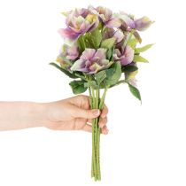 Artikel Künstliche Christrose Bund violett 35 cm 6 Stiele für Innenbereich