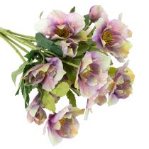 Artikel Künstliche Christrose Bund violett 35 cm 6 Stiele für Innenbereich