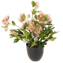 Artikel Helleborus künstliche Topfpflanze Christrose 50 cm Rosa-Grün