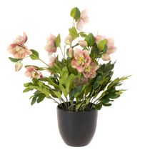 Artikel Helleborus künstliche Topfpflanze Christrose 50 cm Rosa-Grün