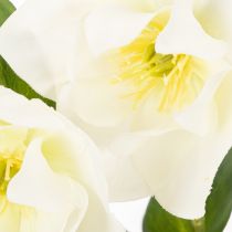 Artikel Christrose im schwarzen Topf 34 cm künstlich Weiss