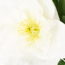 Artikel Kunstblume Christrose weiss Bund 36 cm Kunststoff für Weihnachten