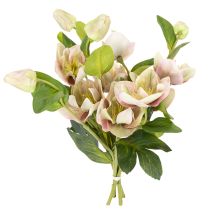 Artikel Christrose künstlich 30 cm Bund mit 4 Stielen in Rosa-Grün