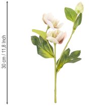 Artikel Christrose künstlich 30 cm Bund mit 4 Stielen in Rosa-Grün