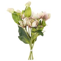 Artikel Christrose künstlich 30 cm Bund mit 4 Stielen in Rosa-Grün