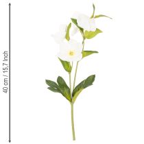 Artikel Christrose Kunstblume weiss, Dekobund 40 cm, 4 Stiele mit Blüten