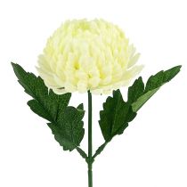 Artikel Chrysantheme Creme Künstliche Blume Ø7cm 18cm 4St